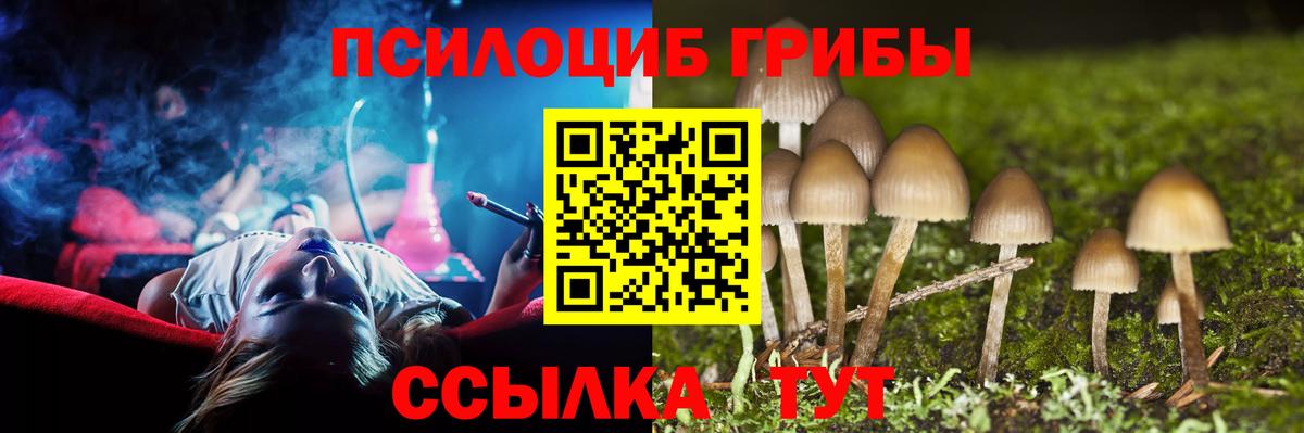 Псилоцибиновые грибы мицелий Орёл
