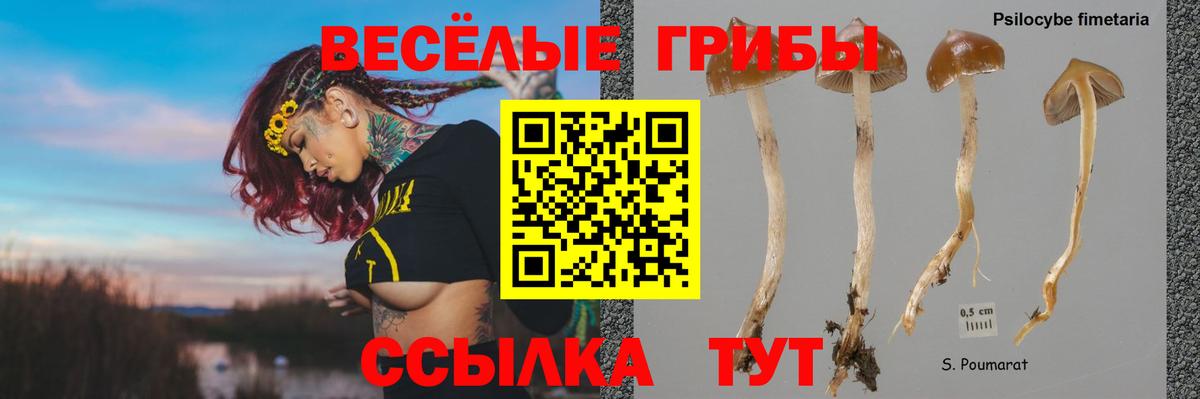 Псилоцибиновые грибы мухоморы  закладки  Орёл  Вход с VPN 